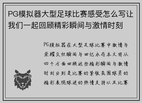 PG模拟器大型足球比赛感受怎么写让我们一起回顾精彩瞬间与激情时刻