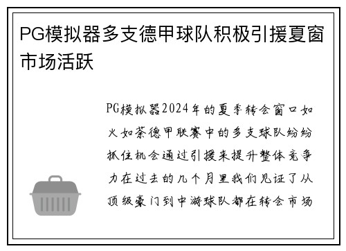 PG模拟器多支德甲球队积极引援夏窗市场活跃